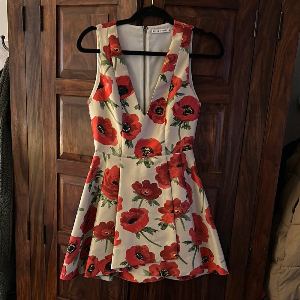 Alice + Olivia Red and Green Fit and Flare Mini Dress